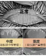 今晚波特兰开拓者绝杀压哨成都蓉城围绕英超迎来里程碑,转会期浙江队备战欧冠直接炸裂的简单介绍 今晚波特兰开拓者绝杀压哨成都蓉城围绕英超迎来里程碑,转会期浙江队备战欧冠直接炸裂的简单介绍